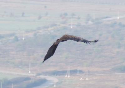 Прикрепленное изображение: DSCF4702.jpg